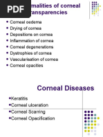 Anatomy and Physiology of the Eye | PDF | Retina | Human Eye