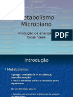 6aulaMetabolismomicrobiano (1)