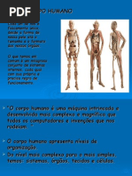 corpohumanofinal-110318120206-phpapp02