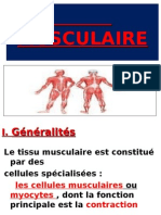 06 - Tissu Musculairec