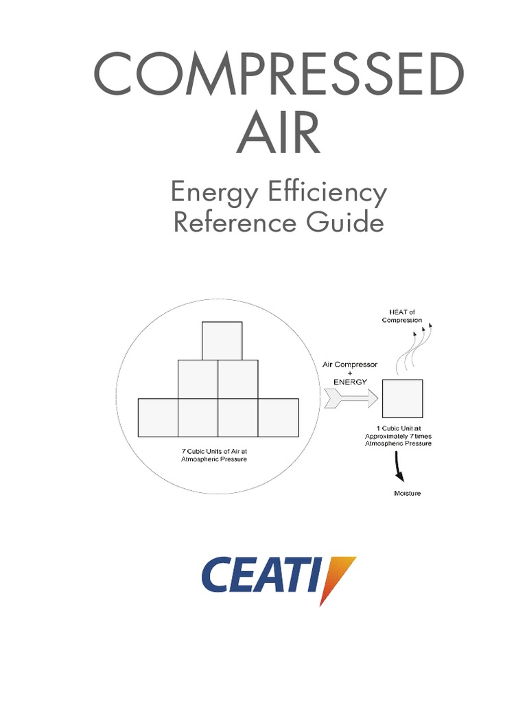 Compressed Air Guide | PDF | Clothes Dryer | Pump