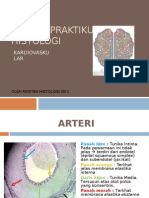 Review Histologi Cardio 2013-1