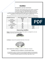 card 2 - measurement of shell fish