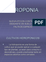 Hidroponia Diapositivas