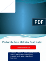 Pertumbuhan Wajah Maksila