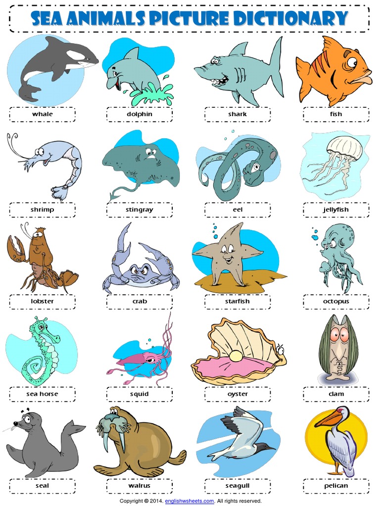sea animals esl picture dictionary worksheet 1 marine