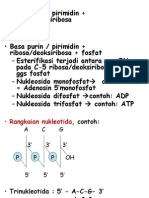 Sintesis Protein