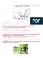 Fiche Bible 123 Jésus Est Comme Une Vigne PDF