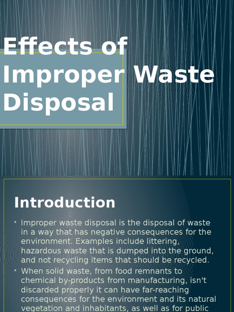 Effects of Improper Waste Disposal | Municipal Solid Waste | Waste