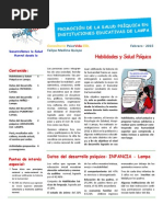 Salud Mental Lampa - Puno - Perú 2015