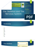 The Skeleton and the Nervous System