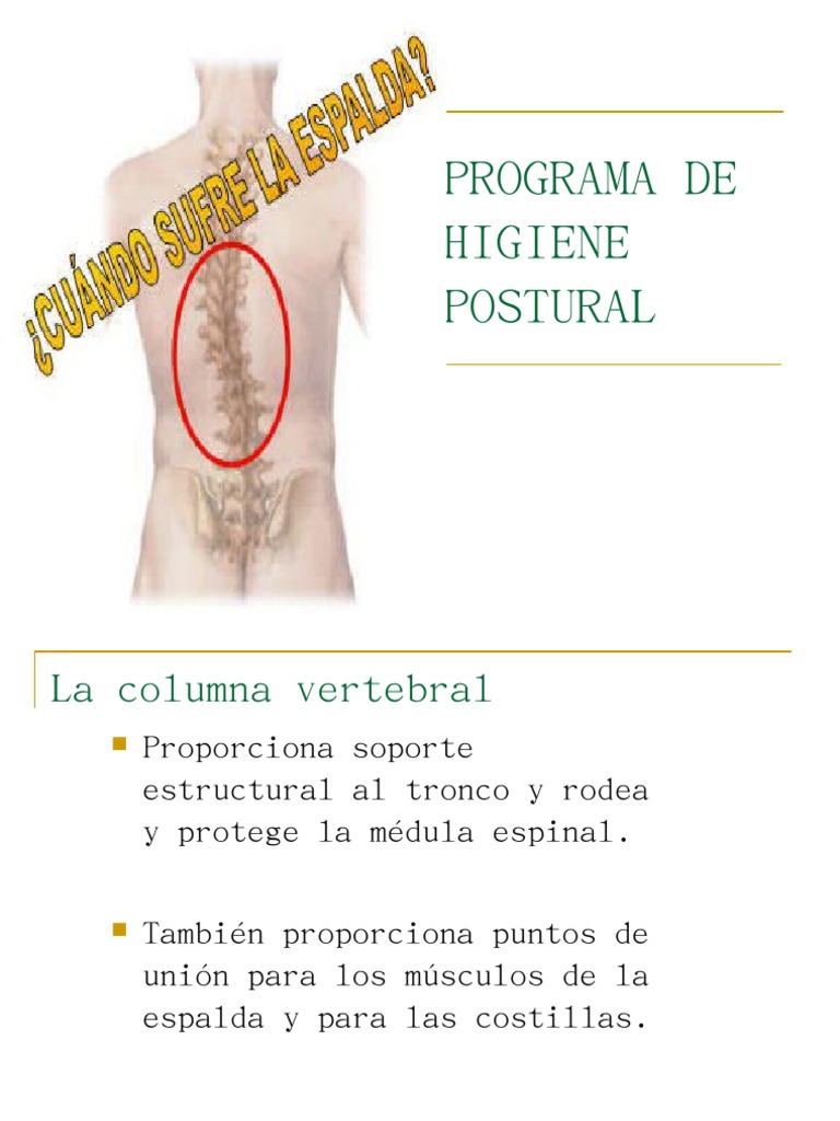 Guía de Higiene Postural Esencial | PDF | La columna vertebral | Dolor ...