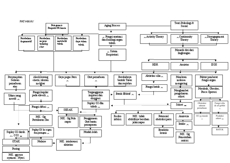 Pathway | PDF