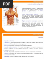 9 Sistema Digestivo