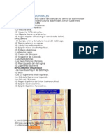 CUADRANTES ABDOMINALES