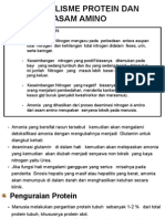 Metabolisme Protein Dan Asam Amino