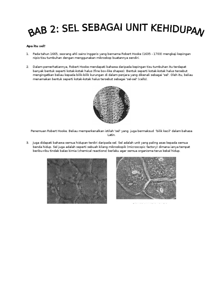 Contoh Set Soalan Pt3 Matematik - Sample Site g