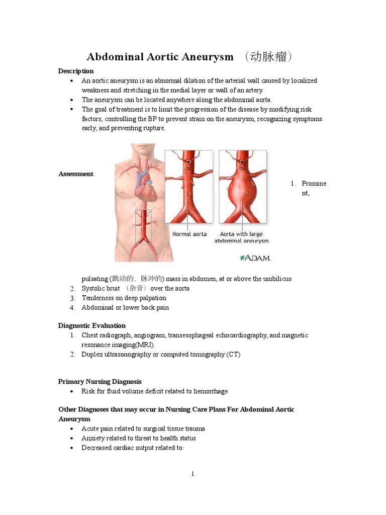 Abdominal Aortic Aneurysm Aorta Hypertension