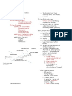 Parade - Pre - and Protochordates Reviewer