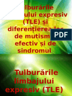 Tulburarile Limbajului Expresiv