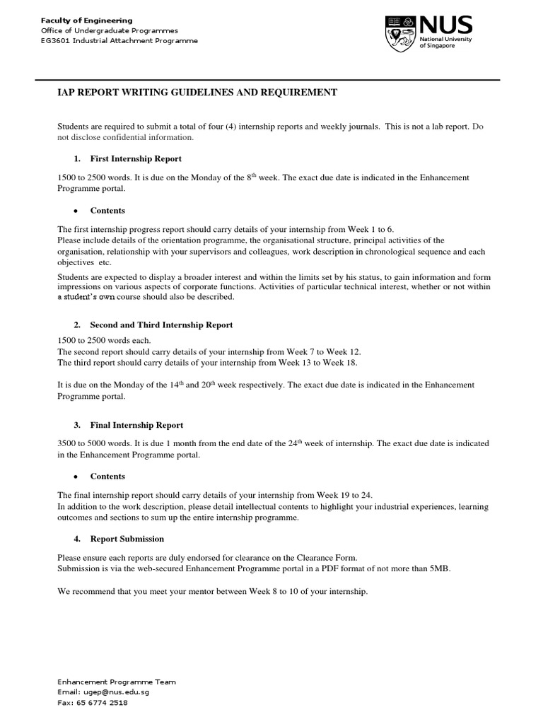 Iap Report Guidelines | PDF