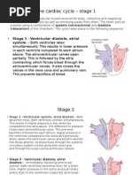 A-Level Biology: Cardiac Cycle | PDF | Ventricle (Heart) | Diastole