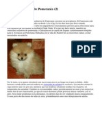 Article   Cachorros De Pomerania (2)