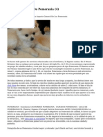 Article   Cachorros De Pomerania (4)