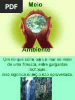 Meio Ambiente (P. Singer)