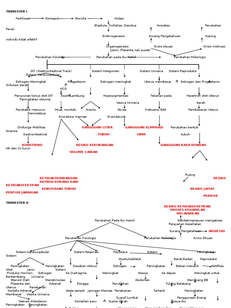WOCTrimesterKehamilan.docx