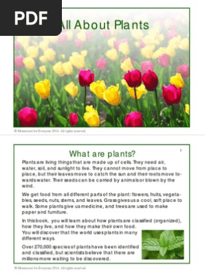 All About Plants Printable Book