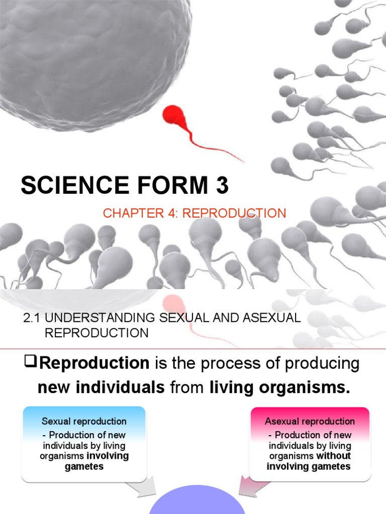 Science Form 3 Chapter 4 | PDF | Pollination | Seed