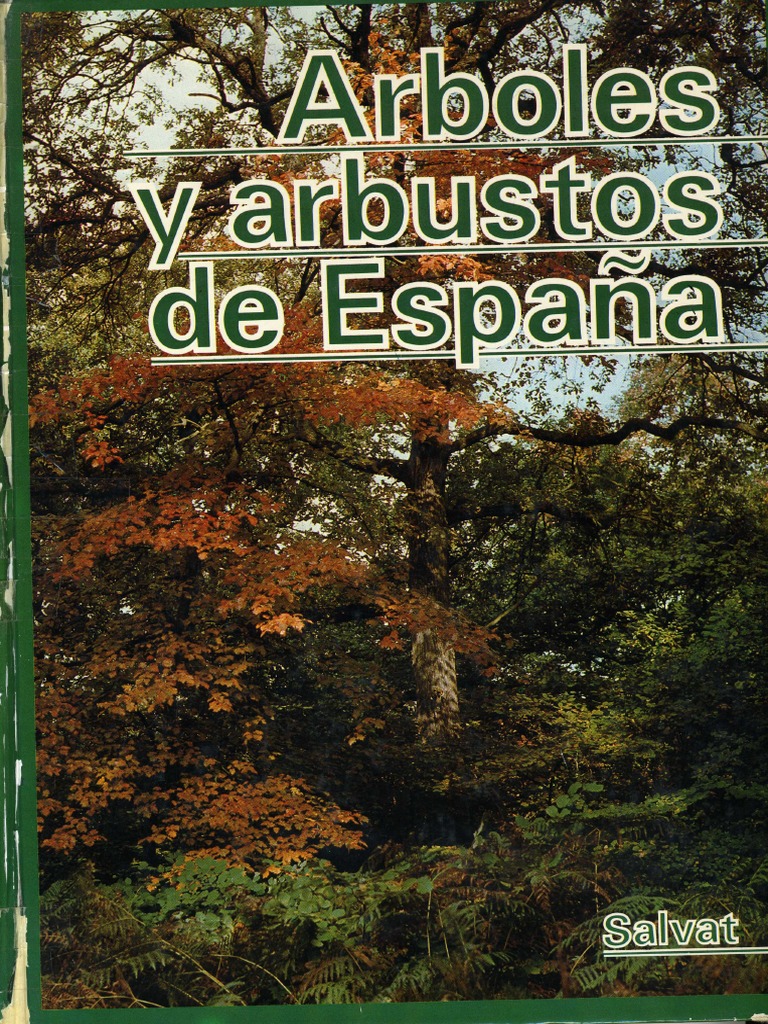 Arboles y Arbustos de España I (Ruiz de La Torre) | PDF