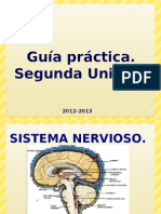GuÃ-A PrÃ¡Ctica. Segunda Unidad 2012-2013 (Tipo Evaluacion)