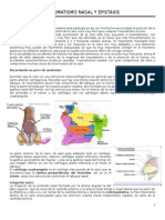 Clase 5°-Traumatismo Nasal y Epistaxis