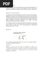 1.2 Exposicion.docx