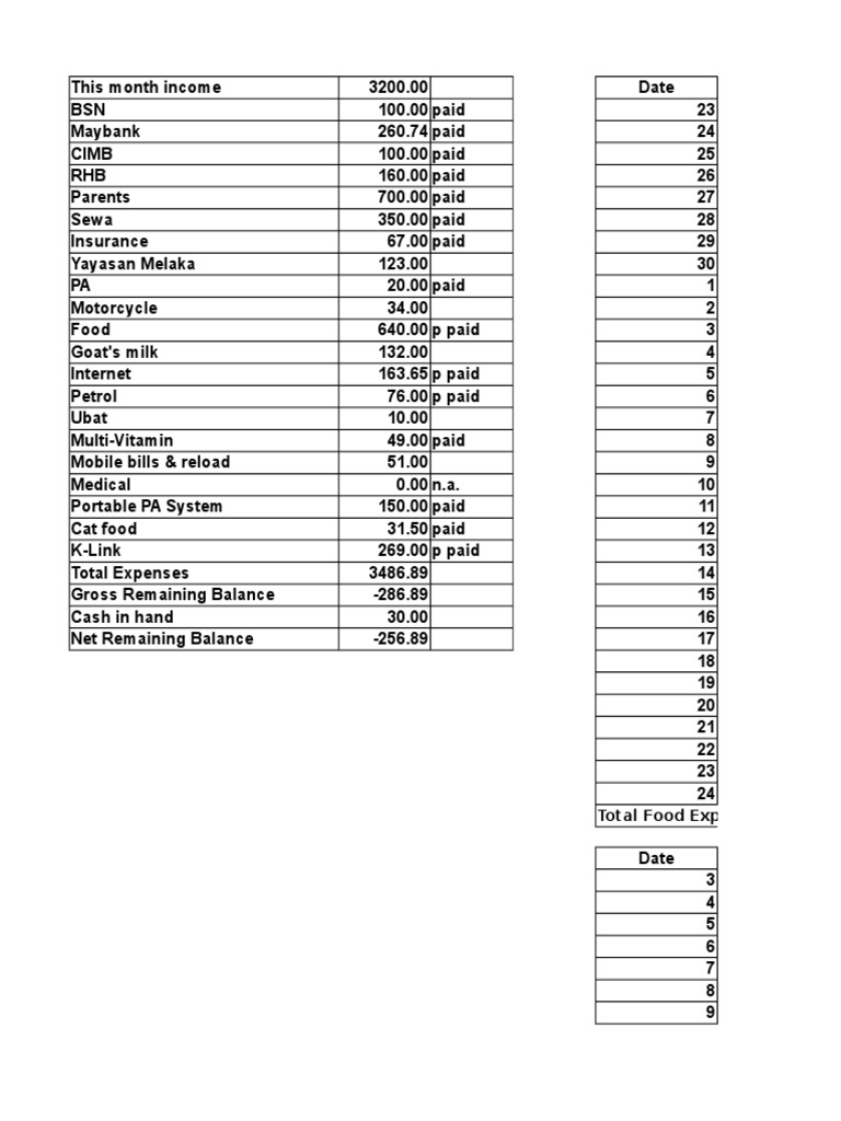 Monthly Income and Expense Summary | PDF | Business
