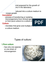 Types of Culture Media