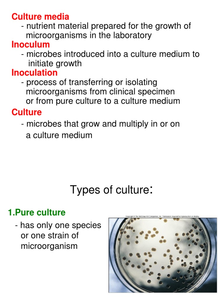 Types of Culture Media Growth Medium Clinical Pathology