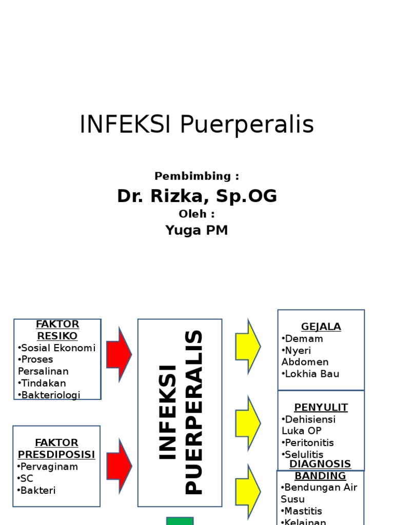 INFEKSI PUERPERALIS PDF