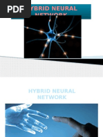 Hybrid Neural Network