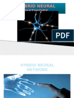 Hybrid Neural Network