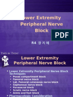 (20060519) Lower Extremity Peripheral Nerve Block