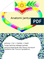 Anatomi Jantung