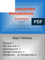 Carbohydrate Metabolism-1