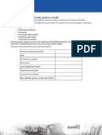 Activitati - Aplicatia Pentru Credit PDF