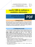 TCAD Lab6 Crearea Capsulelor