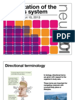 Organization of The Nervous System