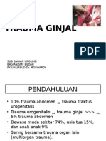 Trauma Ginjal