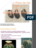Efecto del tamaño y peso de la semilla de astrophytum Ornatum